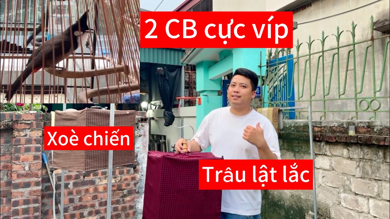 CB quả lắc. Bộ khủng lực trâu lắc dí chạy 4 mặt, CB xoè chiến càng chơi càng hay 