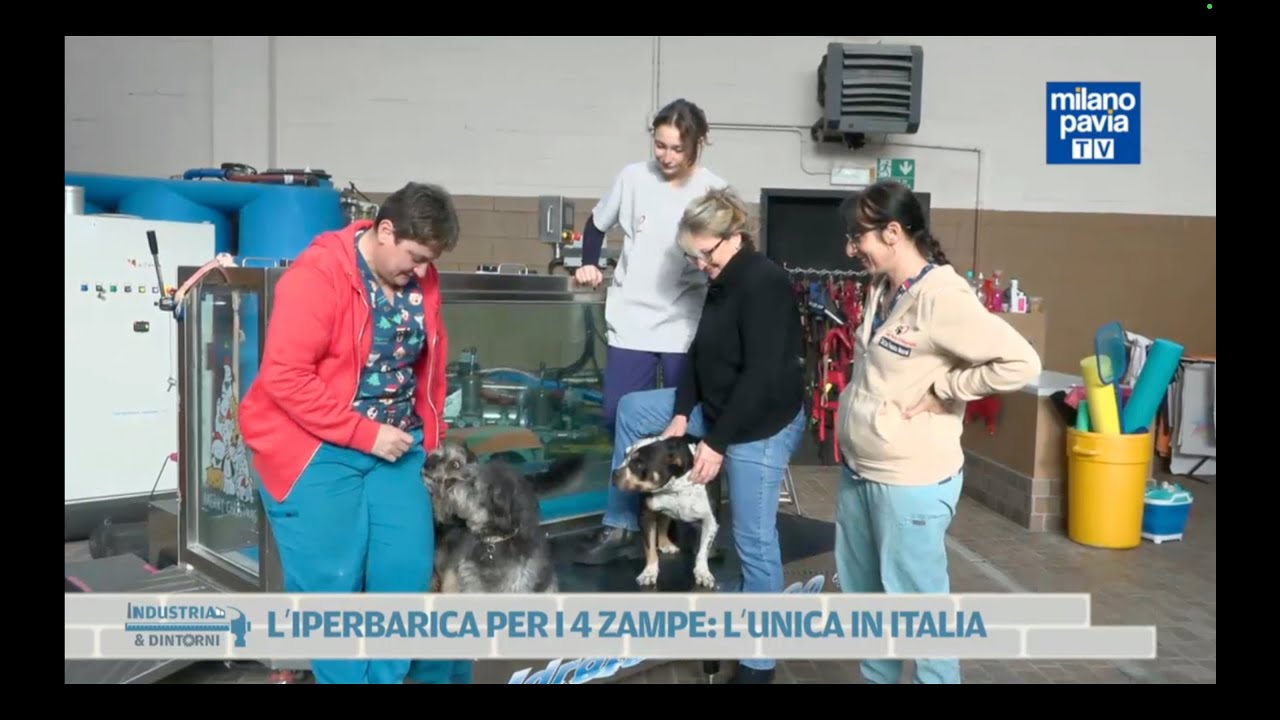Intervista con Milano Pavia TV