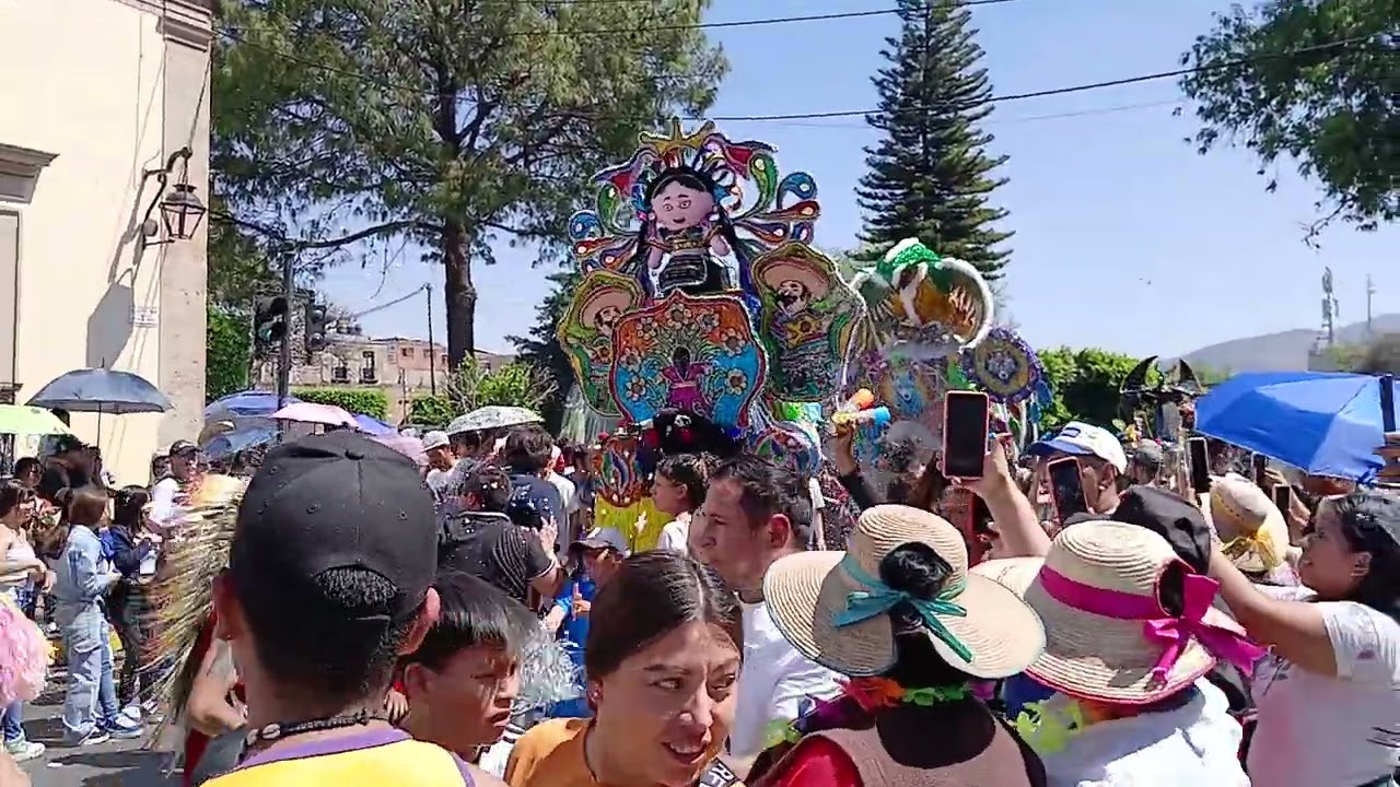 Desfile de toritos de petate carnaval 2025.