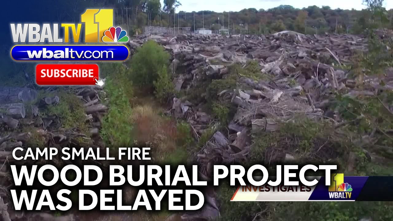Professor: Wood at Camp Small was scheduled to be buried, ran into delays