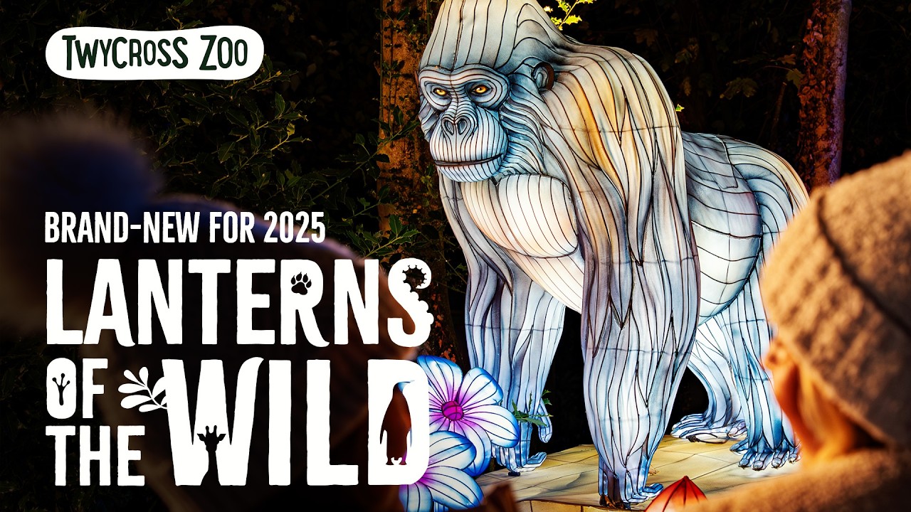 BRAND NEW Lanterns of the Wild at Twycross Zoo! ✨🐘