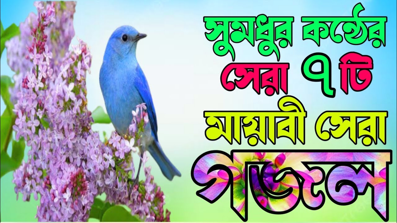 New Gajal |Bangla Gazal |মায়াবী কন্ঠের সেরা ৯টি গজল |হৃদয় ছোঁয়া ৯টি গজল |Islamic Gazal New Gojol