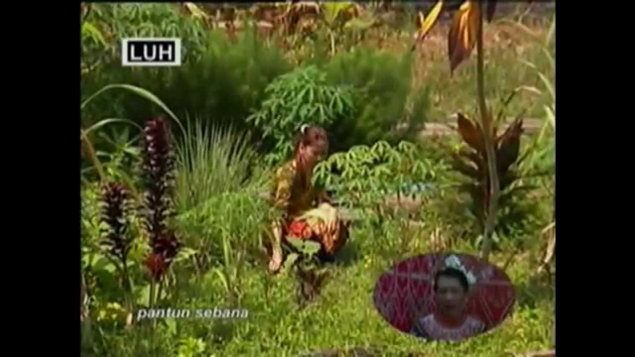 Pantun Sebana - Burai Anak Sebau