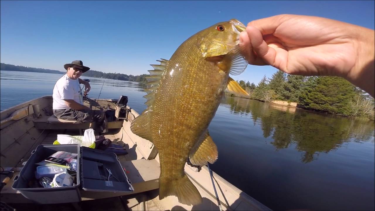 bass fishing with a rapala jointed shad lure