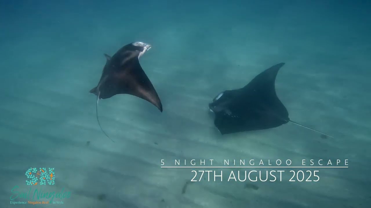 27th August 2025 Highlight Reel