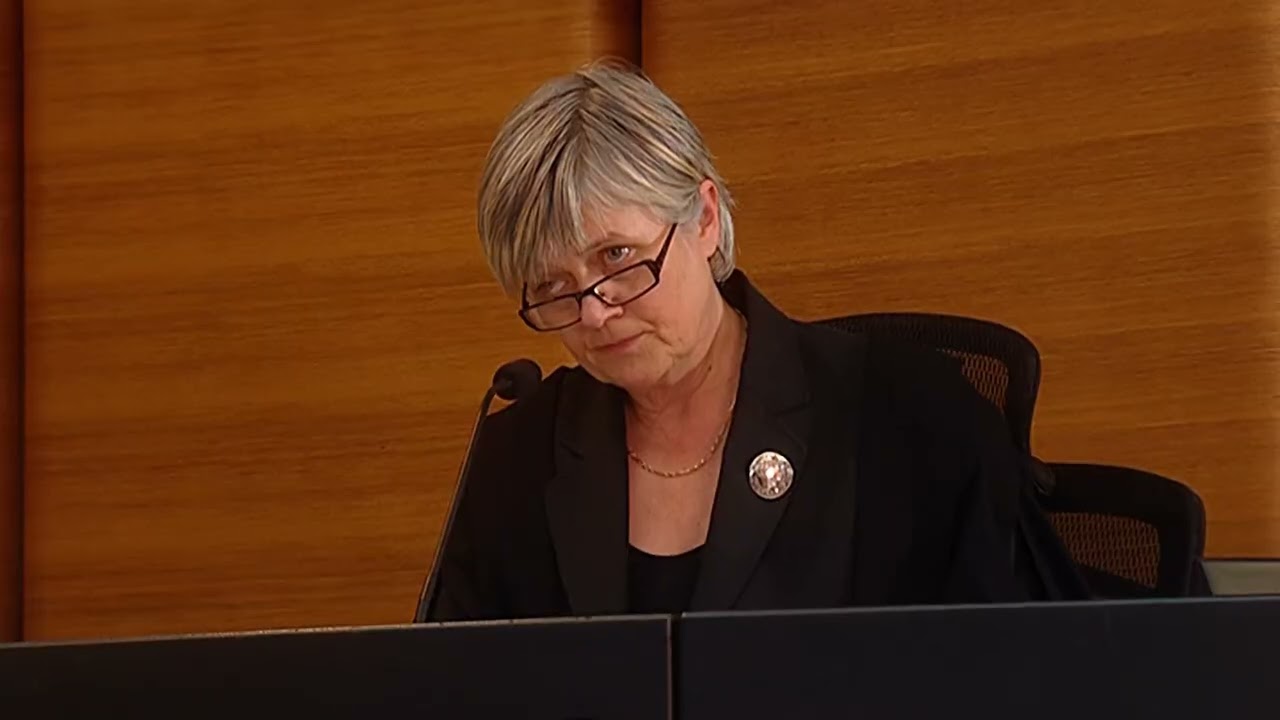 Pleading guilty and making submissions (Audio description)