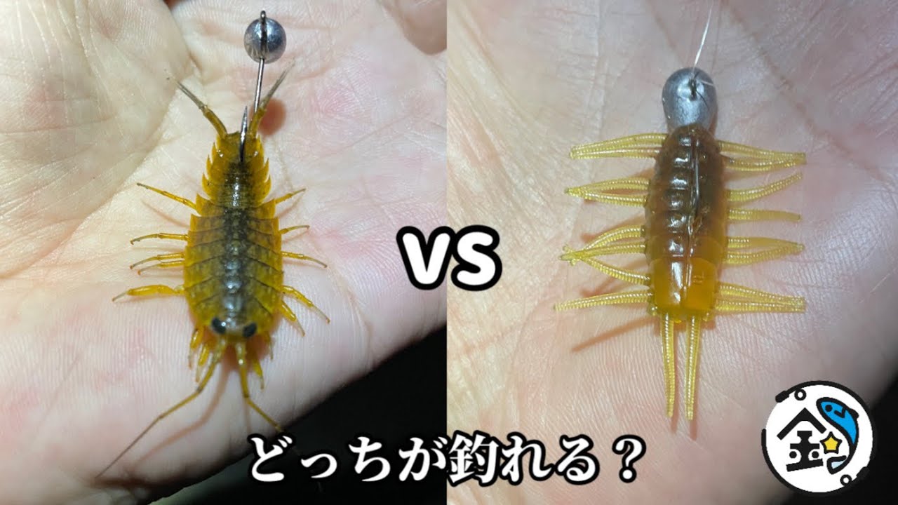 【フナムシ】虫エサvsテクニック❗️   勝つのはどっち？フナムシvsワーム