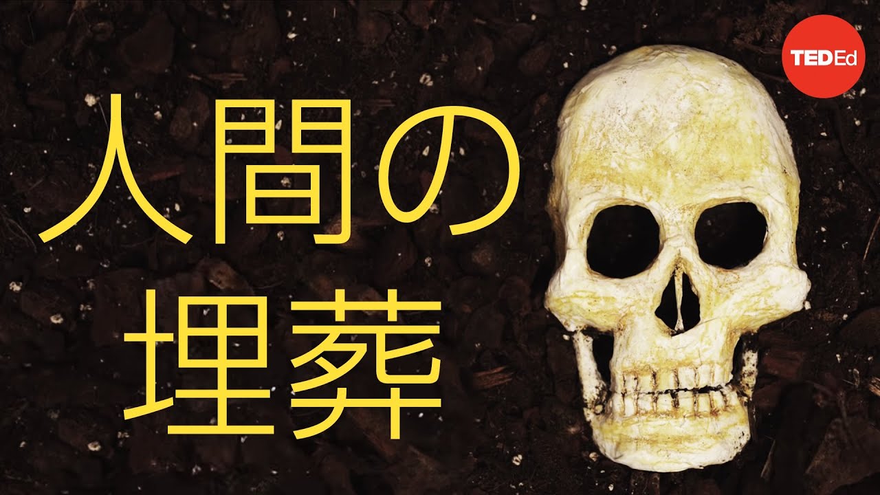 死後の身体に何が起こるのか？ ― ファルナズ・ハティビ・ジャファリ