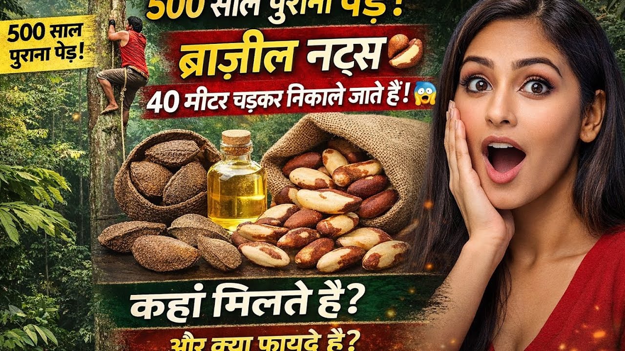 ब्राज़ील नट्स के खाने के चमत्कारी फायदे 🤯 