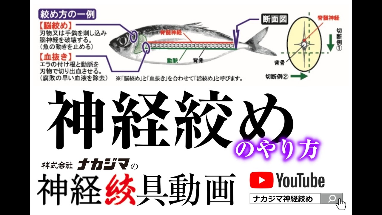 NPKナカジマ/神経絞具