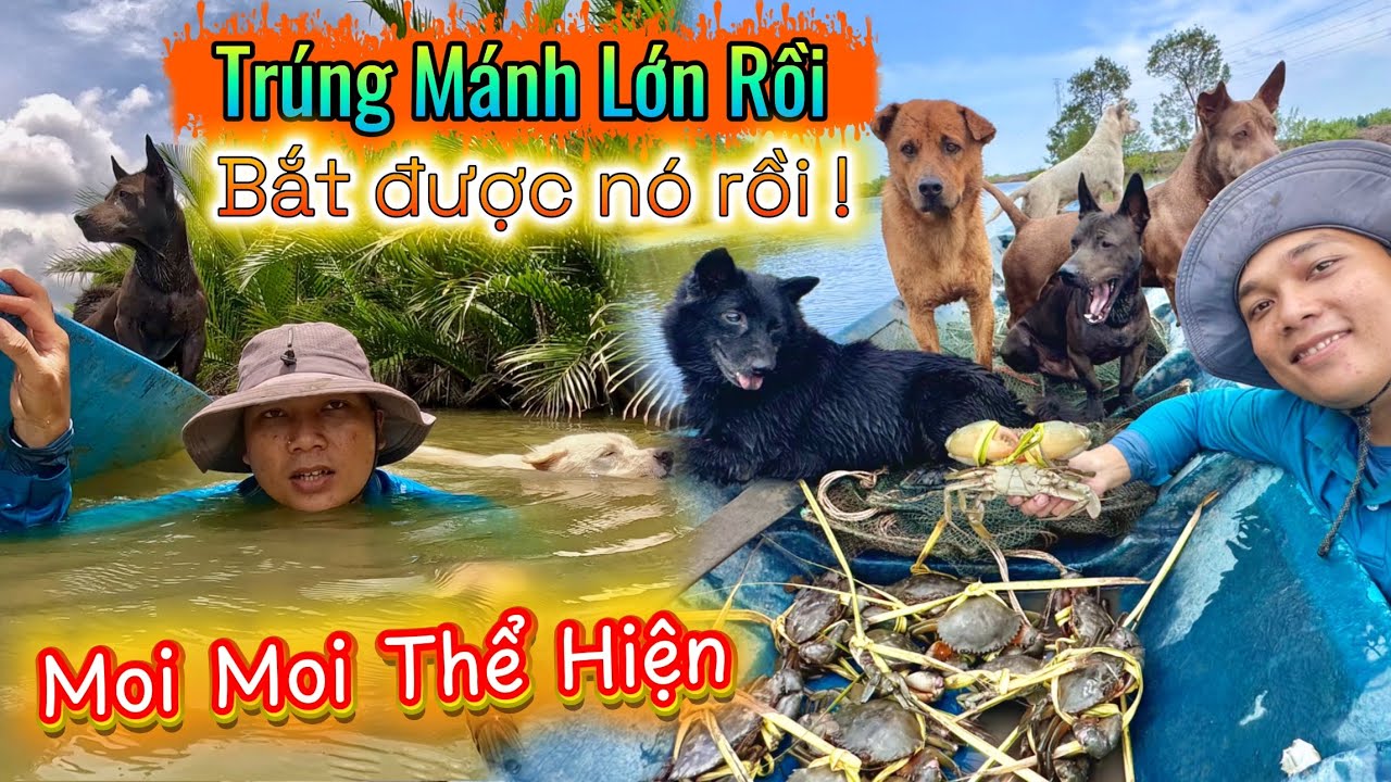 Một Ngày Trúng Mánh Bắt Được Nhiều Cua Nhưng Lại Xui Bắt Được Con Vật Không Mong Muốn