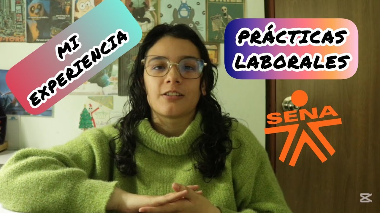 EXPERIENCIA etapa practica SENA