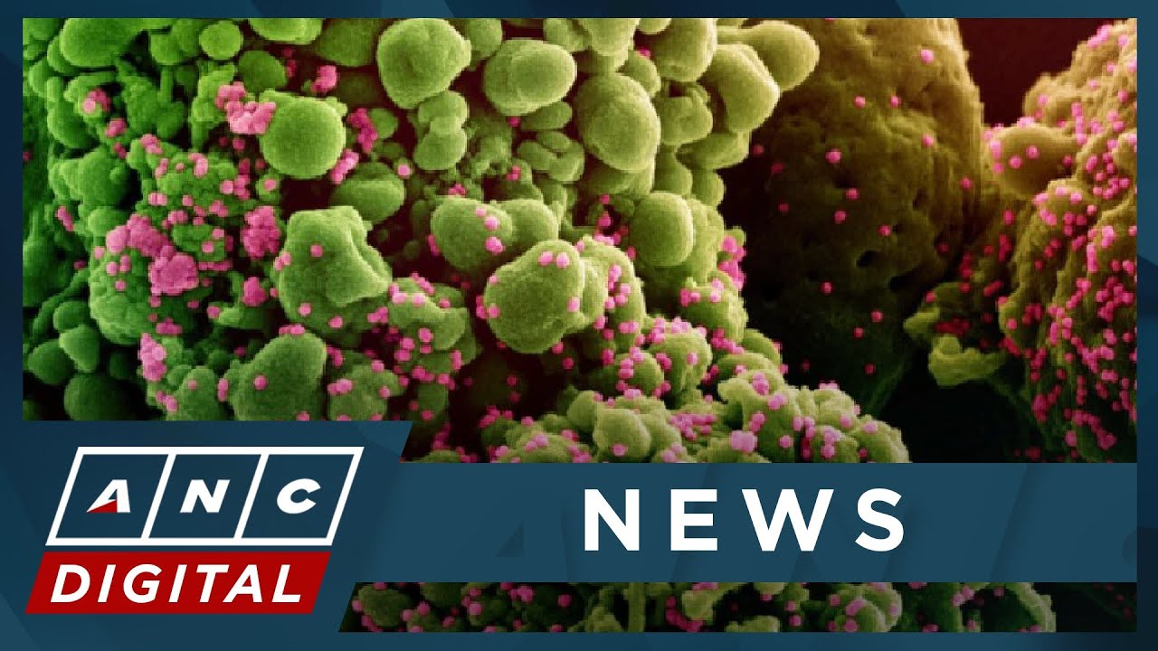 XBB is 'most evasive' Omicron subvariant: expert | ANC