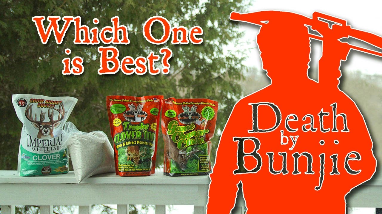 What Clover Seed is Best for Frost-seeding? (And Other Clover Fun!)
