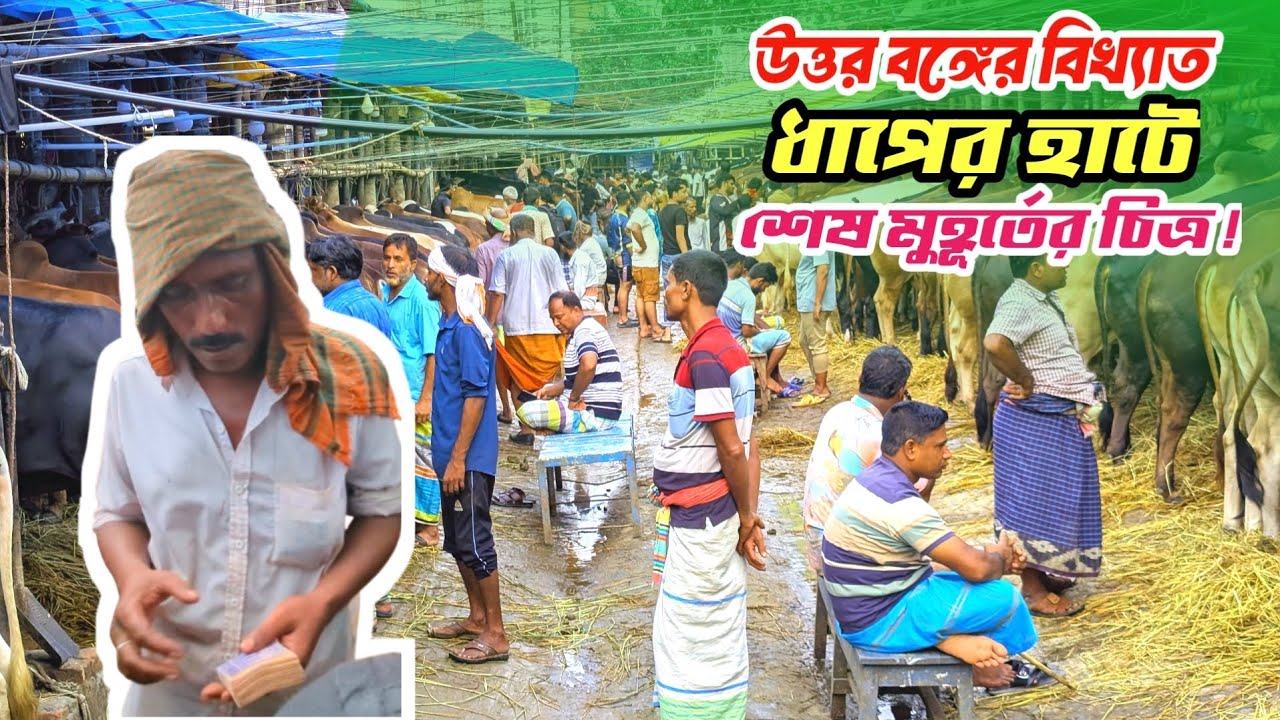 উত্তরবঙ্গের সবচেয়ে বড় কোরবানি হাটে, শেষ দিন দাম কেমন ছিল। Dhaper Hat Bagura। Qurbani Hat 2025।