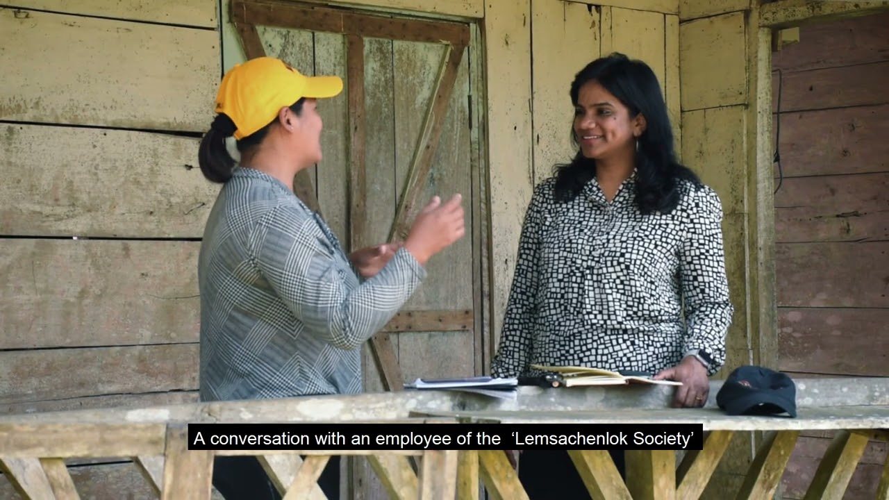 Community-based conservation efforts of Amur Falcons