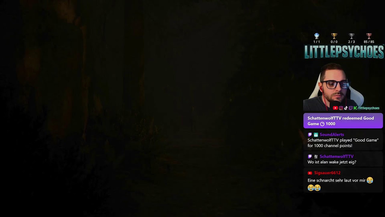 Alan Wake 2 (PS5Pro) - Platin Run - The Lake House DLC 100% Run😅 #7