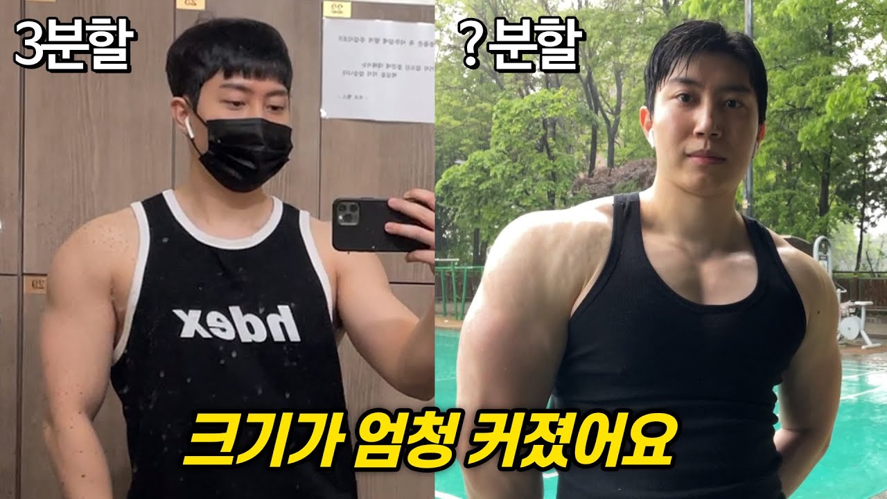 분할법 바꿨더니 1년새 일어난 근육사이즈 변화 (이유+방법)