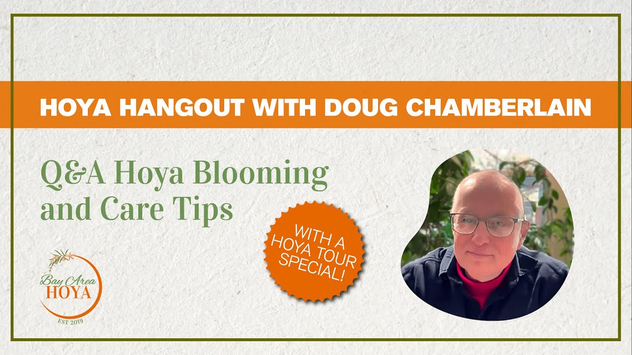 Q&A Hoya Tour with Doug Chamberlain