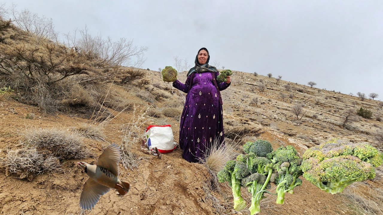 Taban and picking celery in the wild mountains🥦