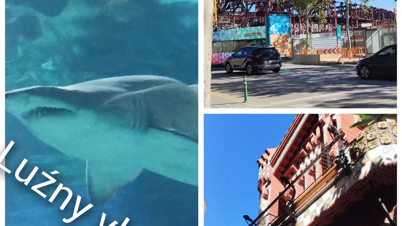 Luźny vlog 👍 Barcelona Camp Nou