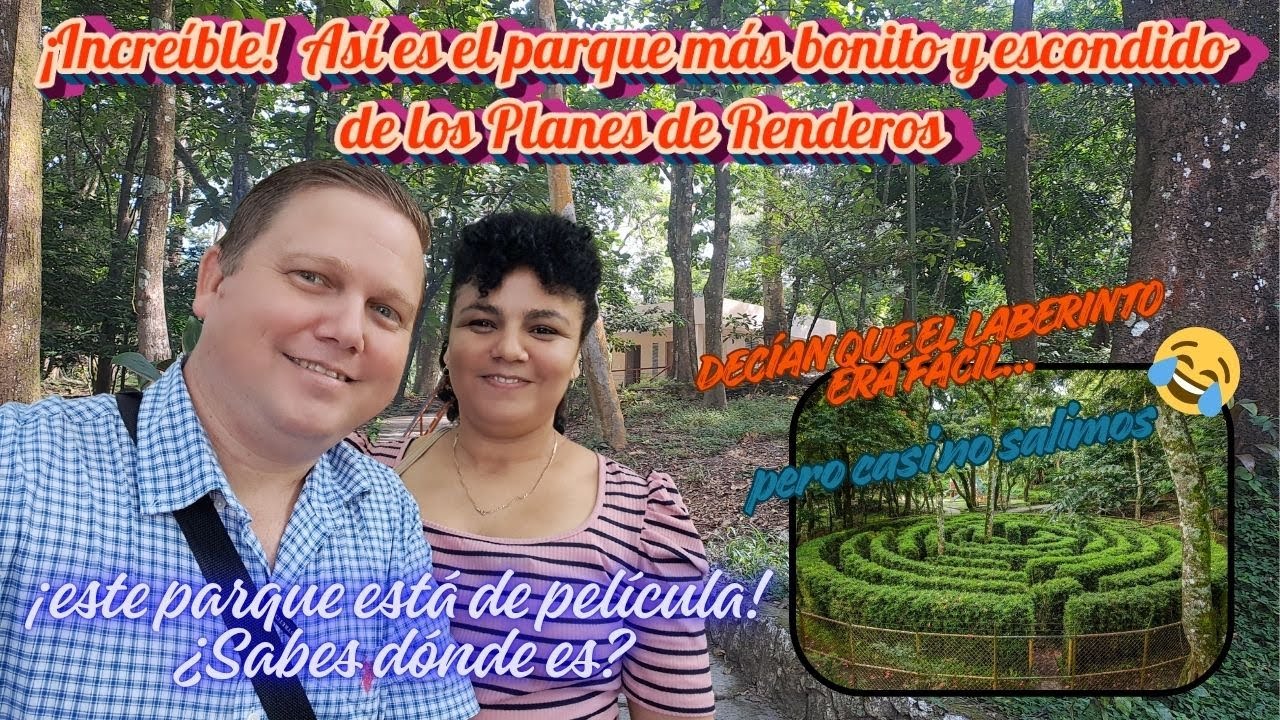 Un parque mágico escondido entre los árboles 🌿 | ¿Sabes dónde es?