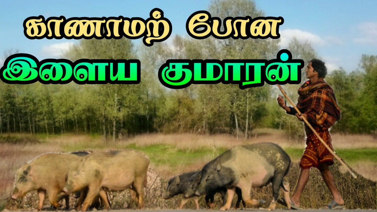 காணாமற் போன இளைய குமாரன் Tamil Christian Message- Pr.Paul.S.Williams