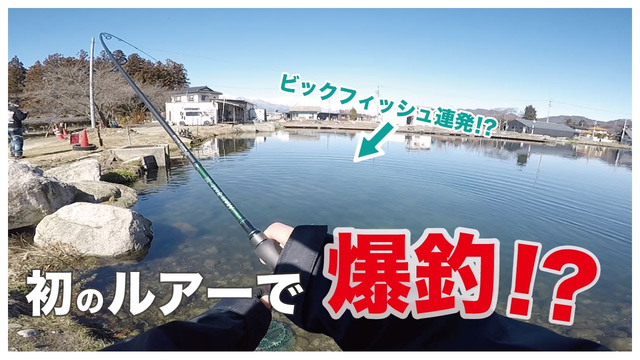 「エリアトラウト」初心者がフェザーで爆釣！「管釣り」「ハートデザイン」