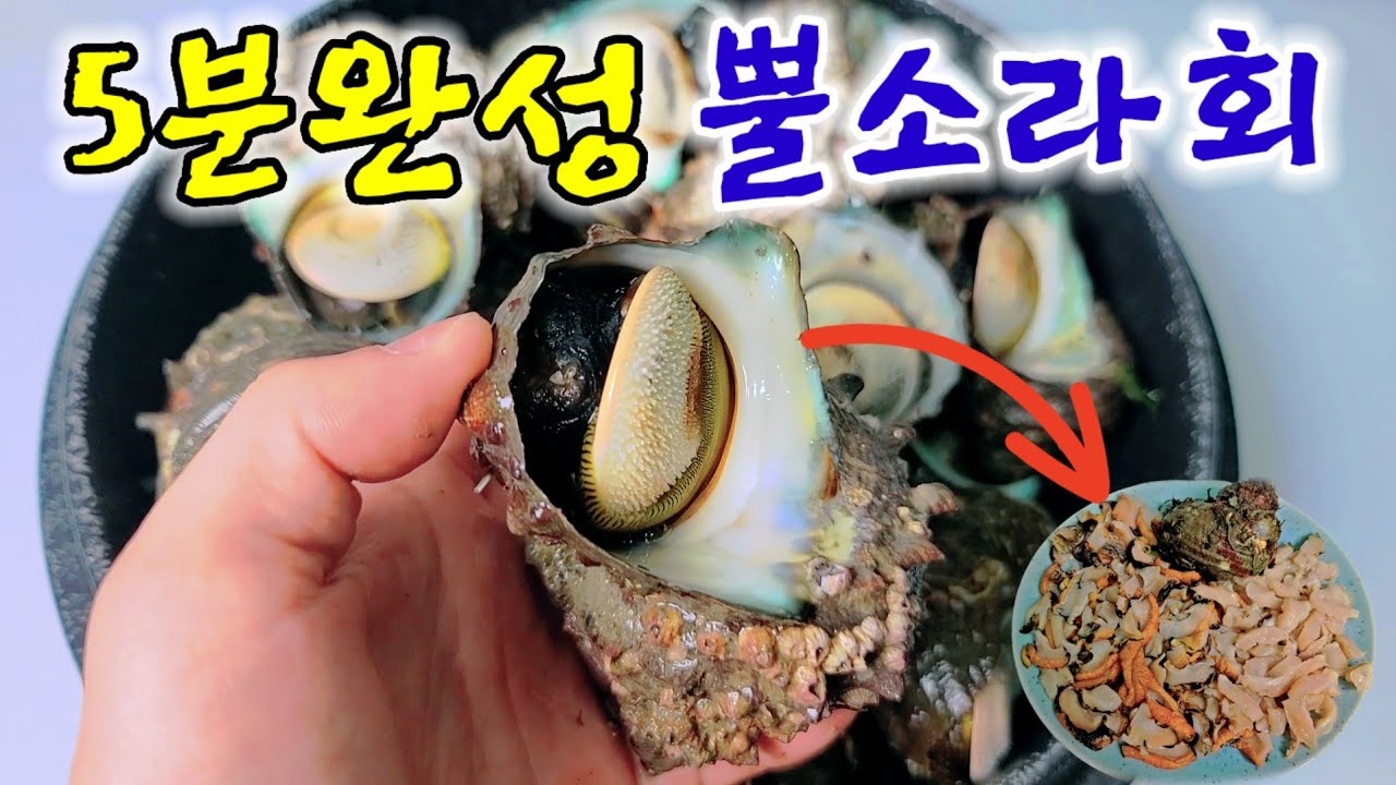 뿔소라 손질법, 뿔소라 회, 뿔소라 회뜨기, Murex Sashimi,  뿔소라 까기!!