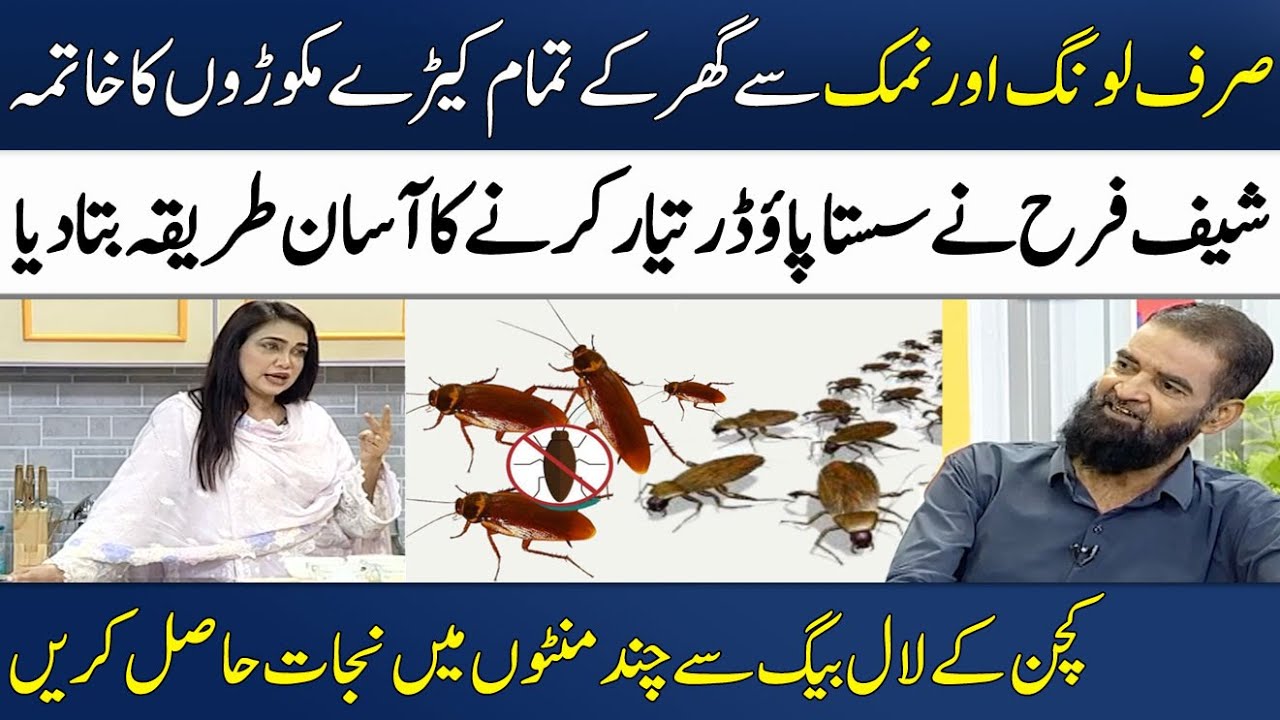 Chef Farah Reveals an Easy Solution To Kill Insects | Tips & Remedies | Madeha Naqvi | SAMAA TV