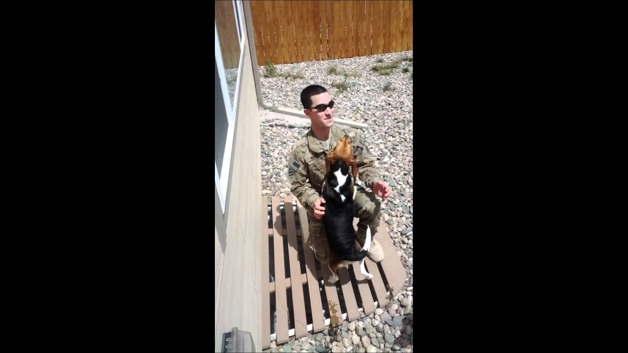 Soldier doggy reunion