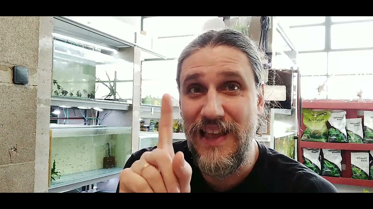 Un día cualquiera en Acuamanus #2