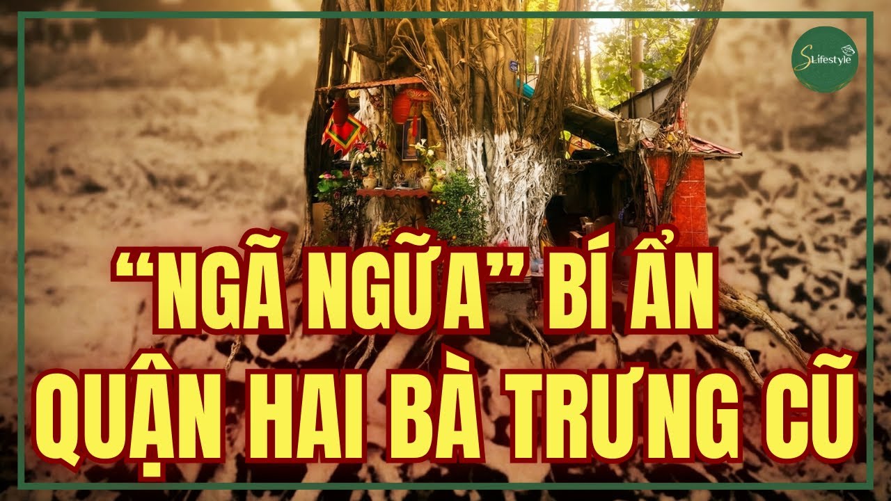 NHỮNG BÍ ẨN LY KỲ ÍT NGƯỜI BIẾT CỦA QUẬN HAI BÀ TRƯNG CŨ | S LIFESTYLE - ĐỜI SỐNG VIỆT