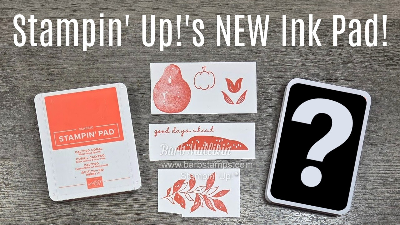 Новая чернильная подушечка от Stampin' Up!
