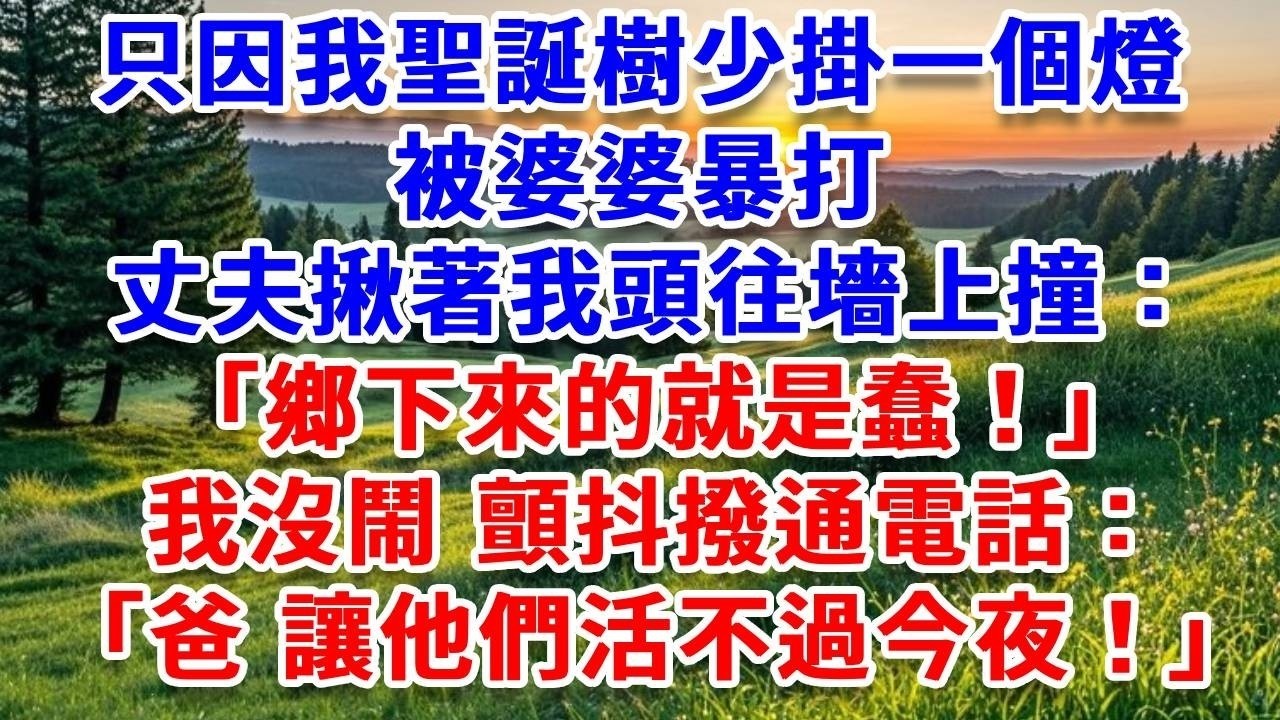 只因我聖誕樹少掛一個燈，被婆婆暴打，丈夫揪著我頭往墻上撞：鄉下來的就是蠢！我沒鬧 顫抖撥通電話：爸，讓他們活不過今夜！#詩涵講故事#為人處世#生活經驗#情感故事#晚年哲理#說故事#完結文#原創故
