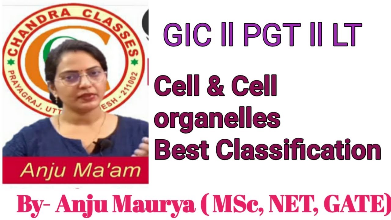 BEST VIDEO OF CELL  & CLASSIFICATION OF CELL ORGANELLES || TGT,PGT,LT,GIC || BY- ANJU MAM