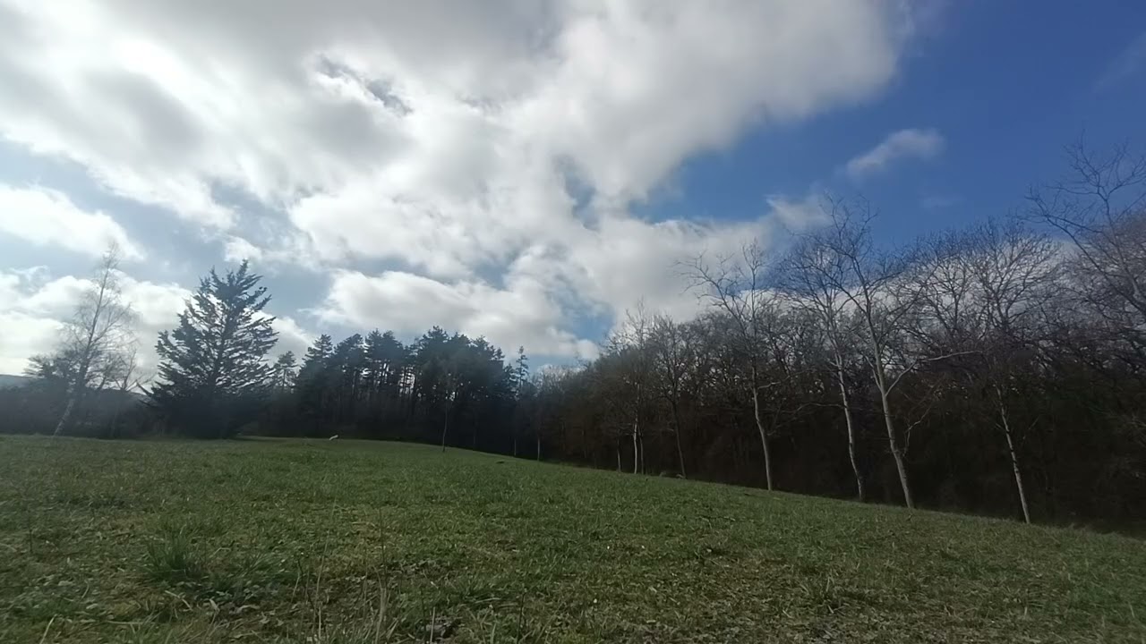 Vibe nature