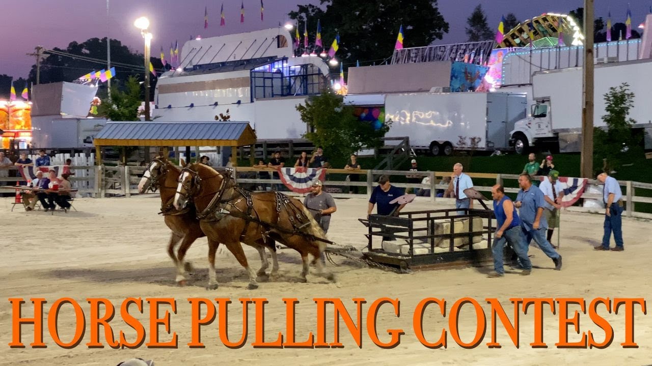 🇺🇸 Draft Horse Show & Horse Pulls | Heavyweight horse pulling competition 2024 | Draft horse pull