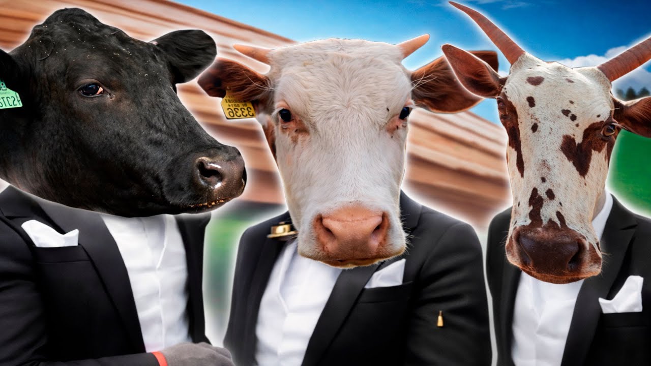 Песня «Cow 
