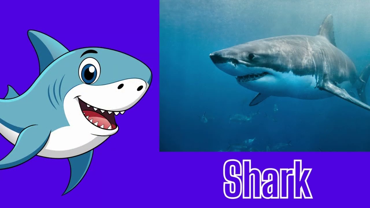 50 Animal Names and Sounds for Kids 🐶🦁🐘 Kids Rhymes | Let's Dance Together! - Kids Song for Toddlers