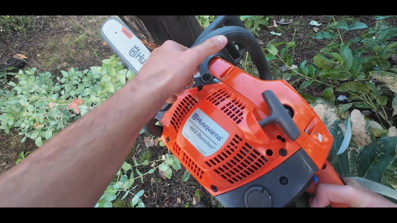 A TESTAR A MOTOSERRA NOVA ( HUSQVARNA 460 RANCHER ) - FRANCISCO AGRICULTOR