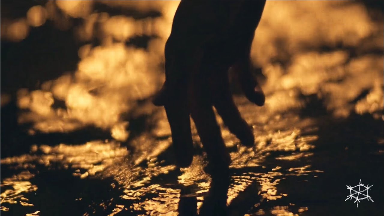 Meadowglade - Magnolia (Official Music Video)
