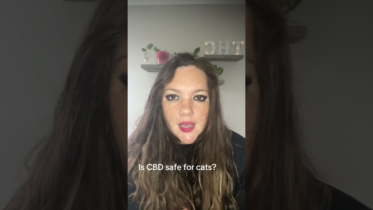 Is CBD safe for cats?  #cannabiscures #cannabissociety #cannabisheals #cbdeducation #hempmymedicine