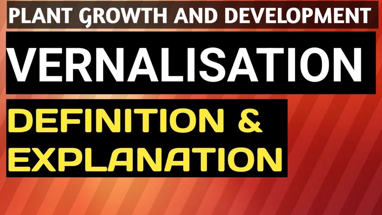 Plant Growth & Development - #vernalisation - Definition / #spring_variety / #winter_variety