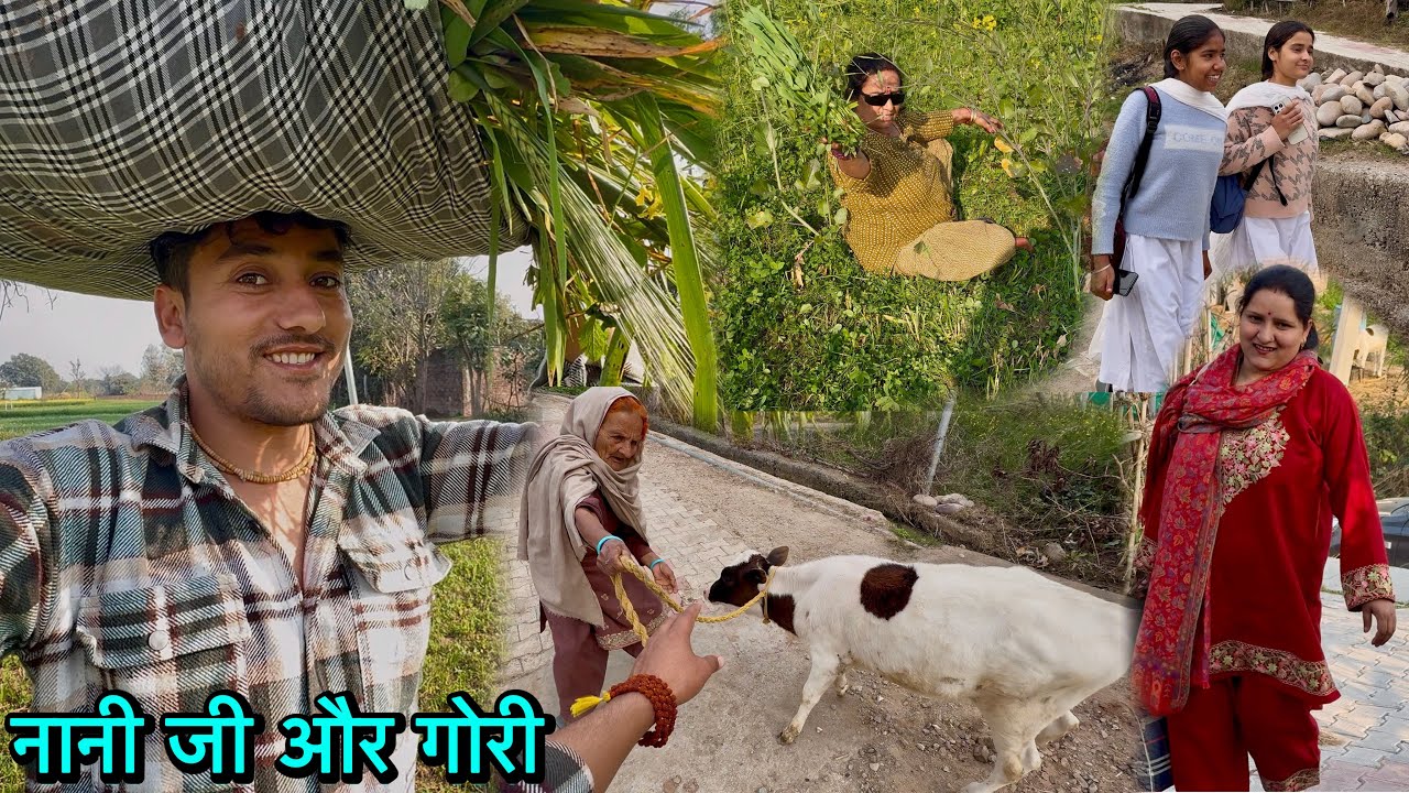 नानी जी ने कितनी आसानी से गोरी को पकड़ लिया 😡 शादी के 263 दिन।