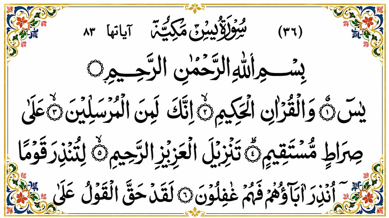 Surah Yasin Surah Rahman Tilawat | Beautiful Recitation | Surah Yaseen Tilawat |Quran Tilawat| 242