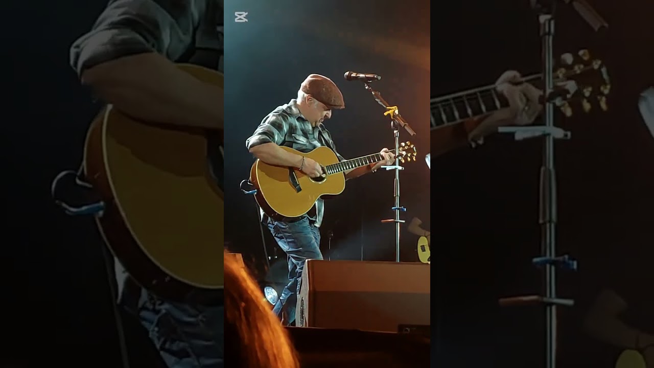 Davide Van De Sfroos mash up live in Milano 23/11/2024