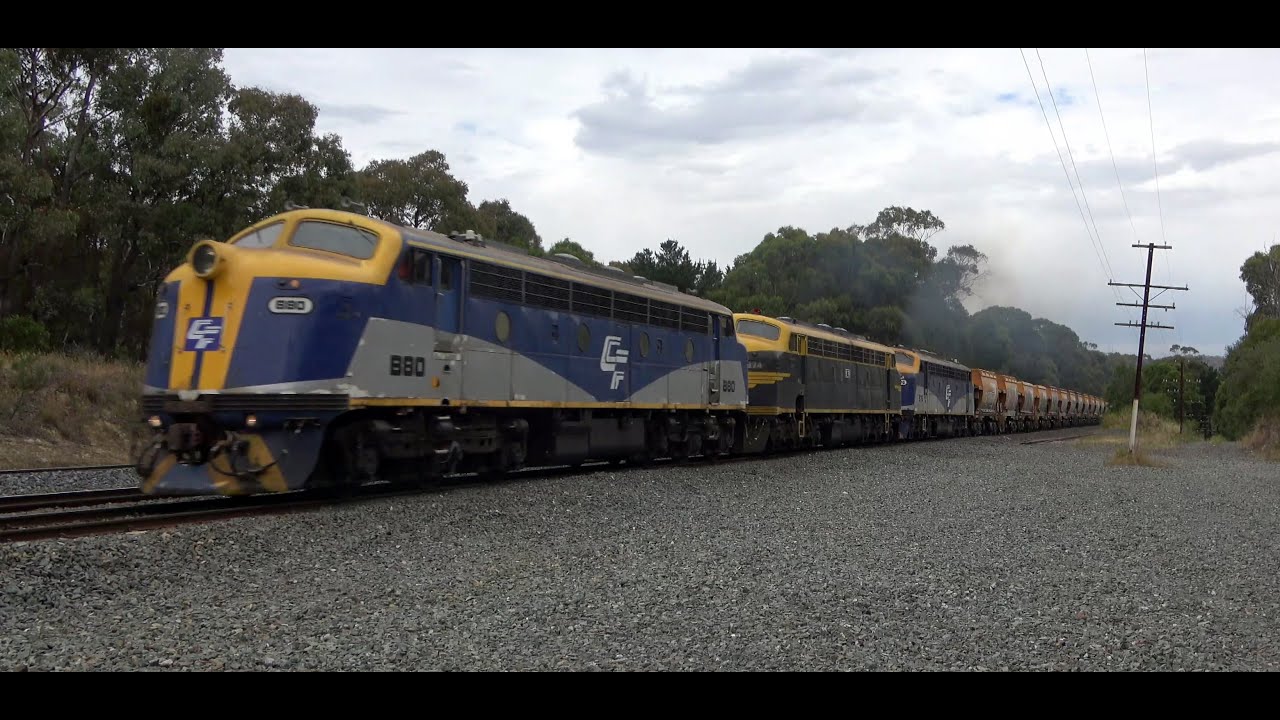 Trackside Country Victoria Trains - Kilmore East, Avenel, Seymour - Vline, SSR, Qube, PN