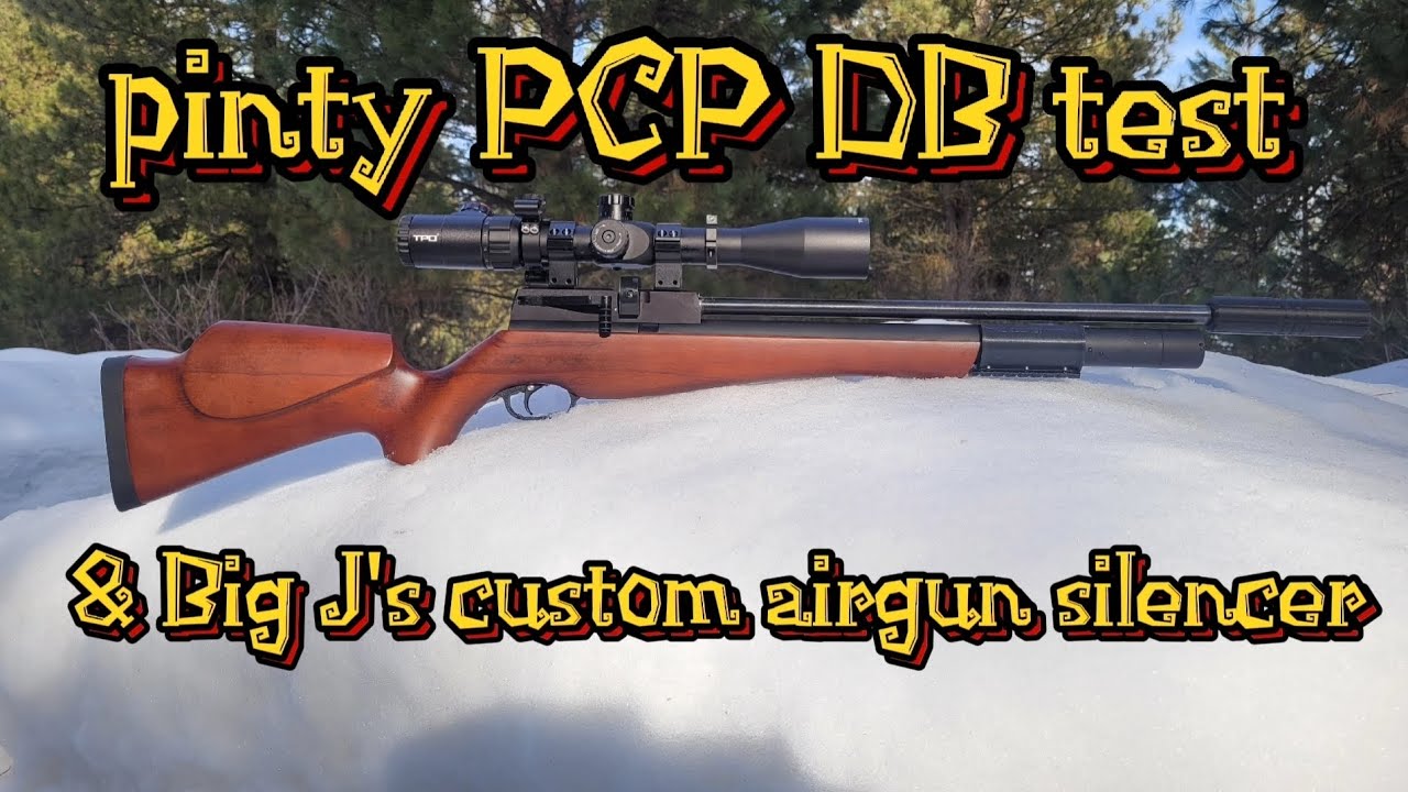 Pinty PCP DB test 📢 & Big J's Custom Airgun suppressors 🎧 #fun #pcp #airgun #pinty