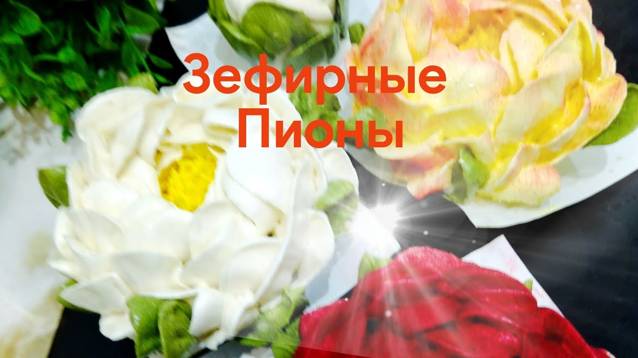 ЗЕФИРНЫЕ ПИОНЫ